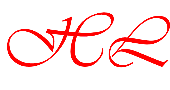 成都遠諾天成科技有限公司logo