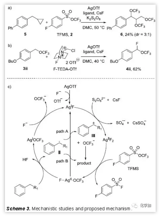 1537263247898086.png image.png