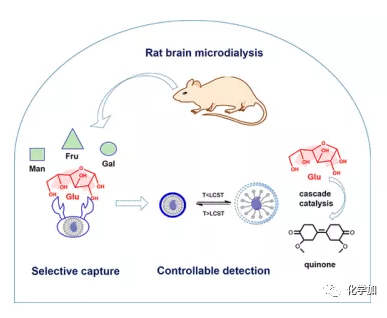 1586225515154721.png image.png