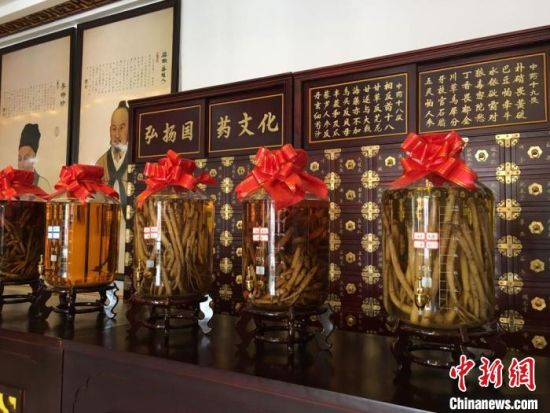 2020年6月，甘肅省定西市渭源縣田家河鄉(xiāng)元古堆村一家中藥材生產(chǎn)加工企業(yè)的藥材展示。 (資料圖) 張婧 攝