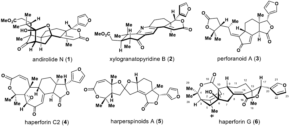 1605685551739974.png 11.18.png