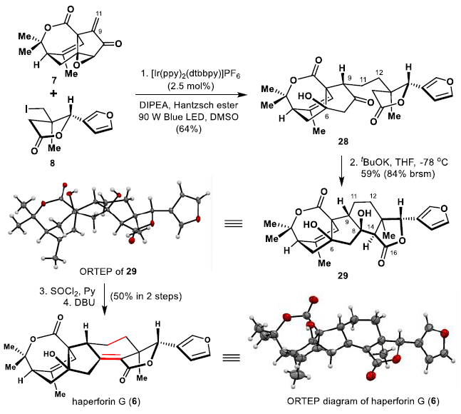 1605685719899338.png 6.png