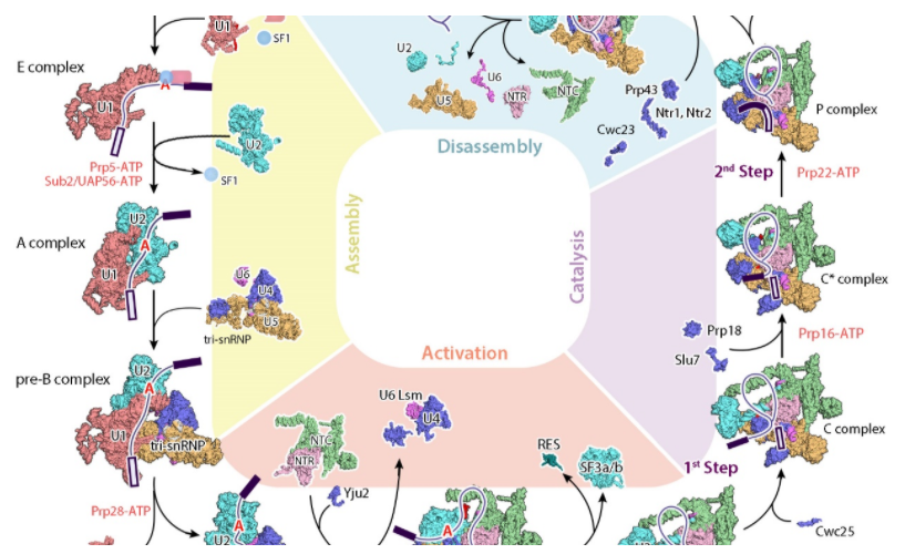 1611888595669476.png image.png