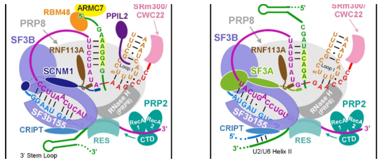 1611888616981701.png image.png