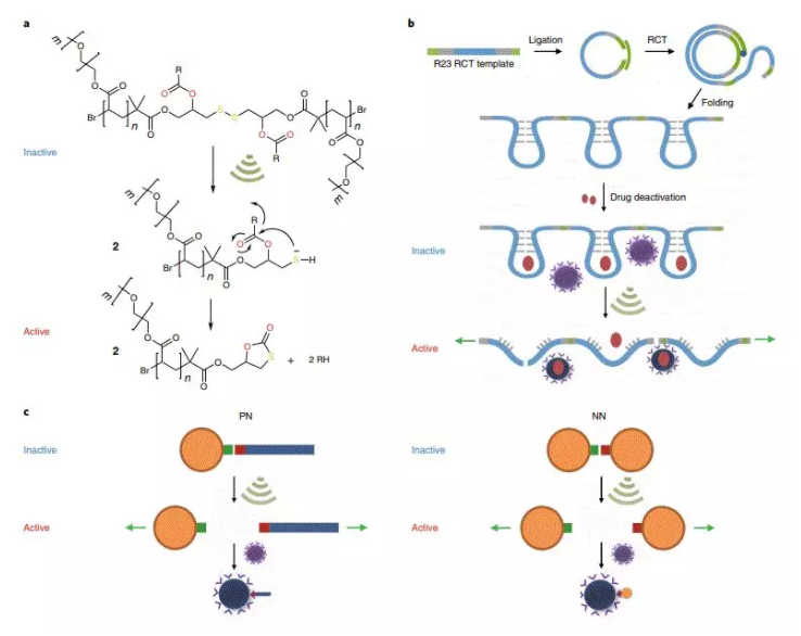 1613616237902579.png image.png