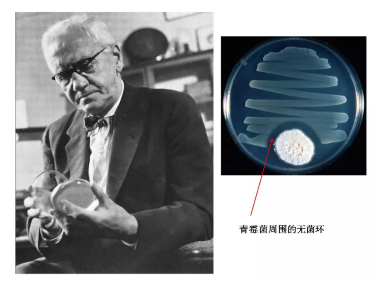 1613789425765348.png image.png