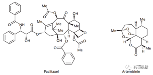 1614820810716800.png image.png