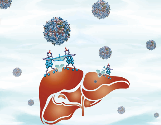 1620615661334752.png image.png