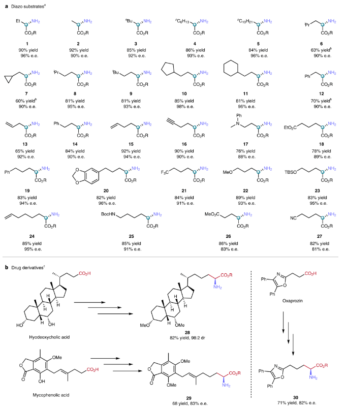 1652835293861139.png image.png