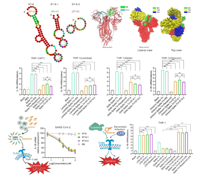 1655101499701467.png image.png