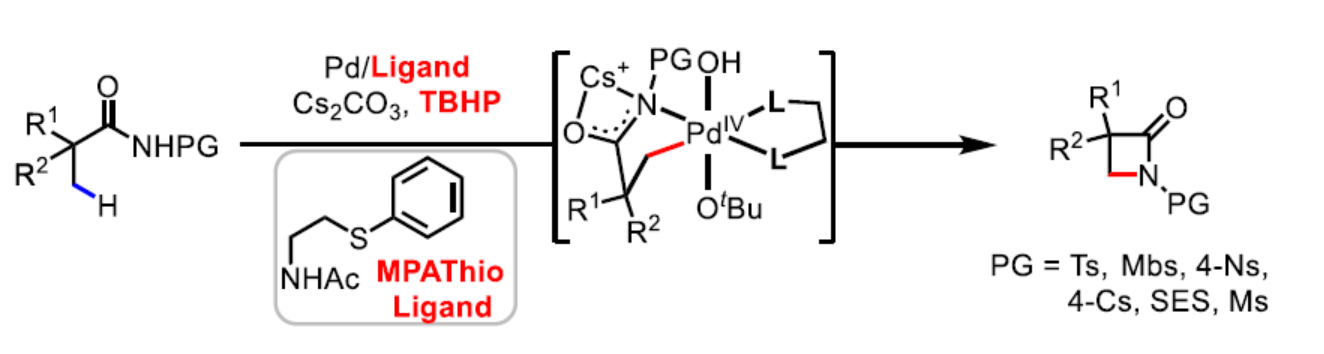 1658125497719582.png 余1.png