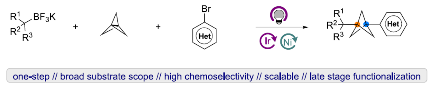 1658125943396640.png 賓1.png