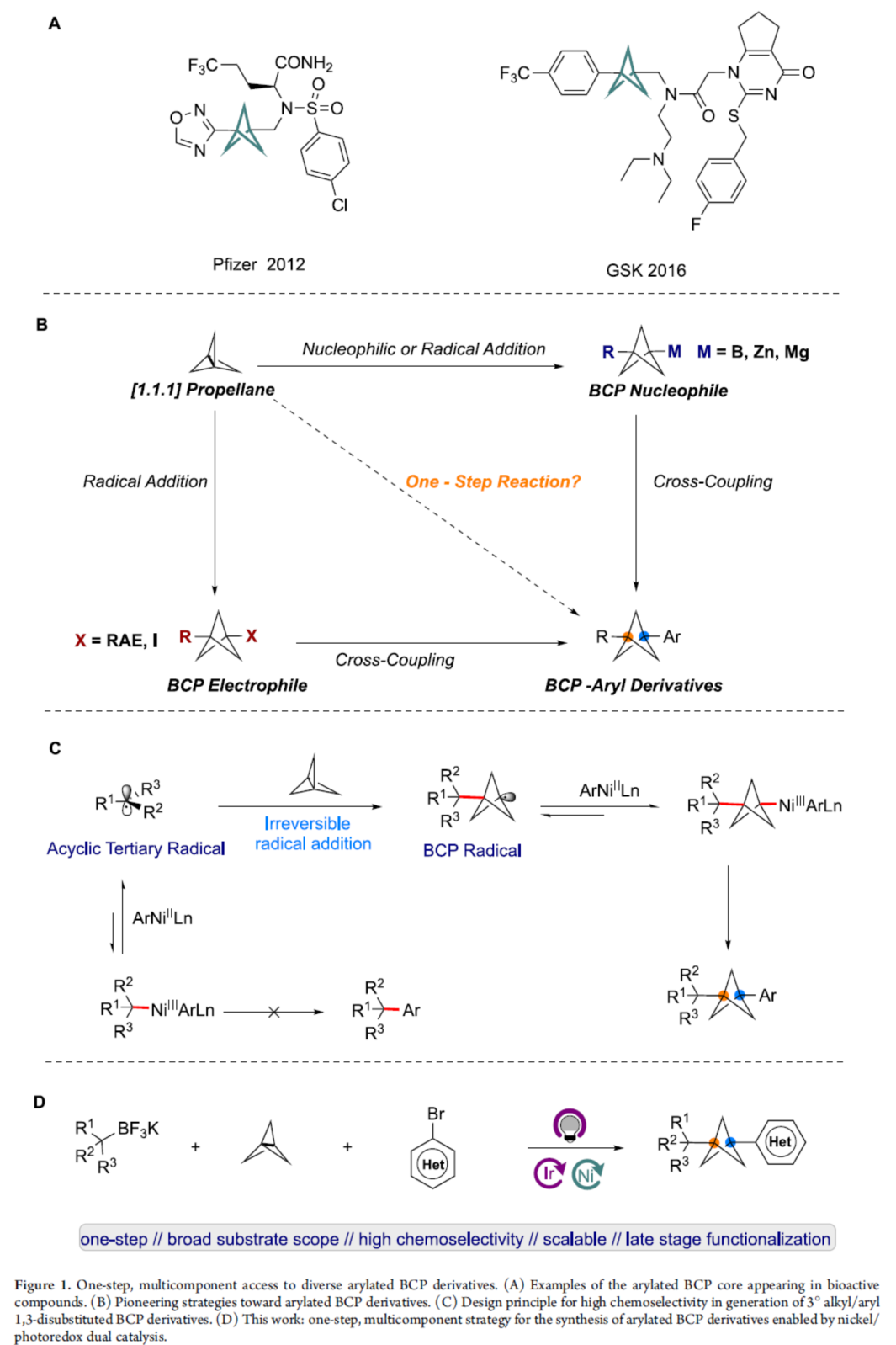 1658125951824603.png 賓2.png