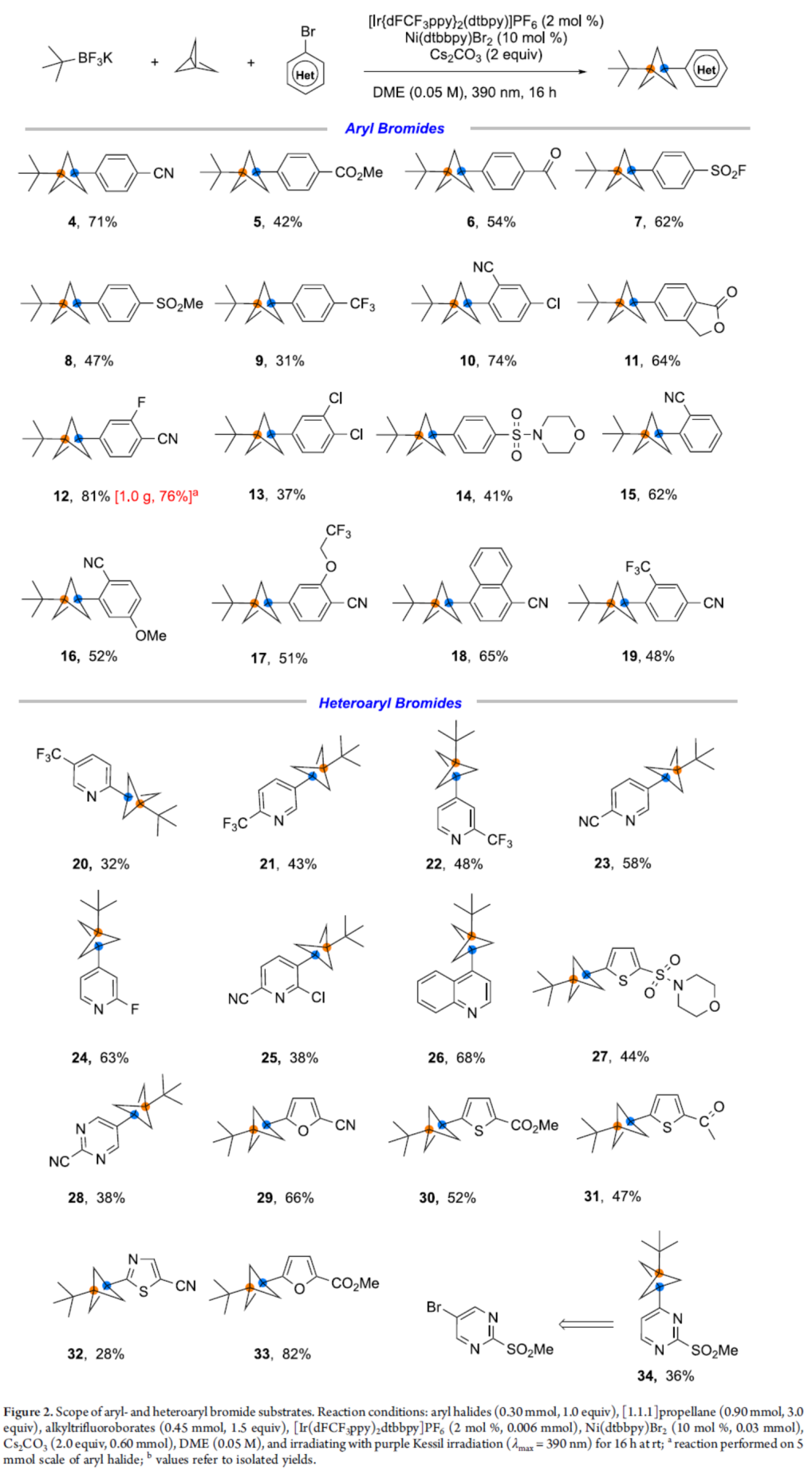 1658125975789955.png 賓4.png