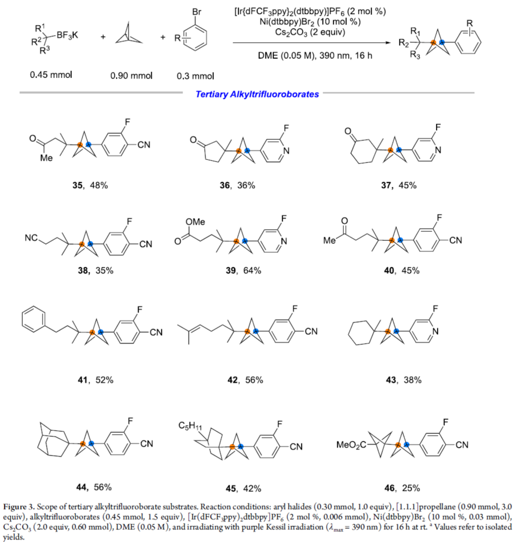 1658125988178740.png 賓5.png