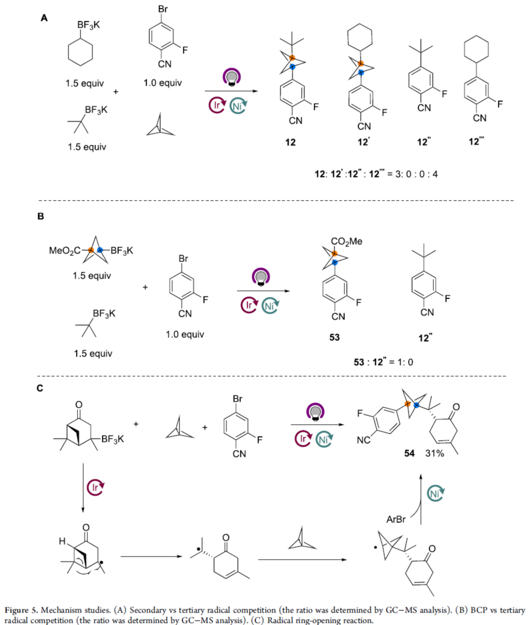 1658126038714020.png 賓8.png