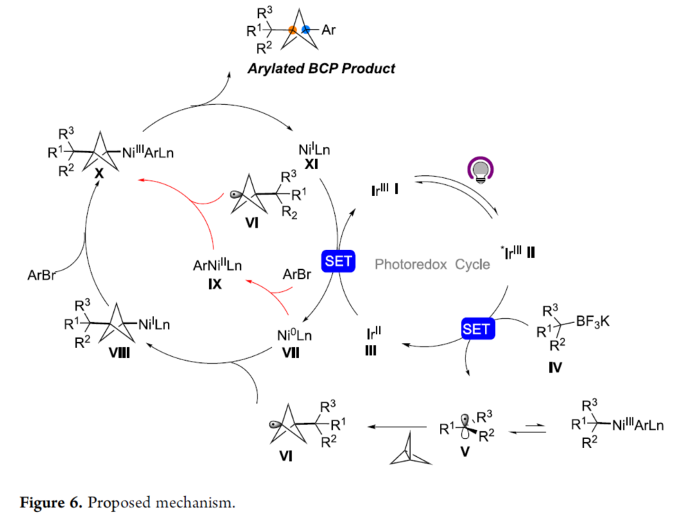 1658126047450838.png 賓9.png