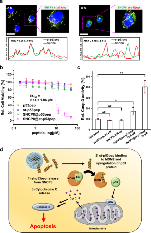 1660274113342320.png image.png