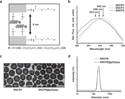 1660274128214889.png image.png