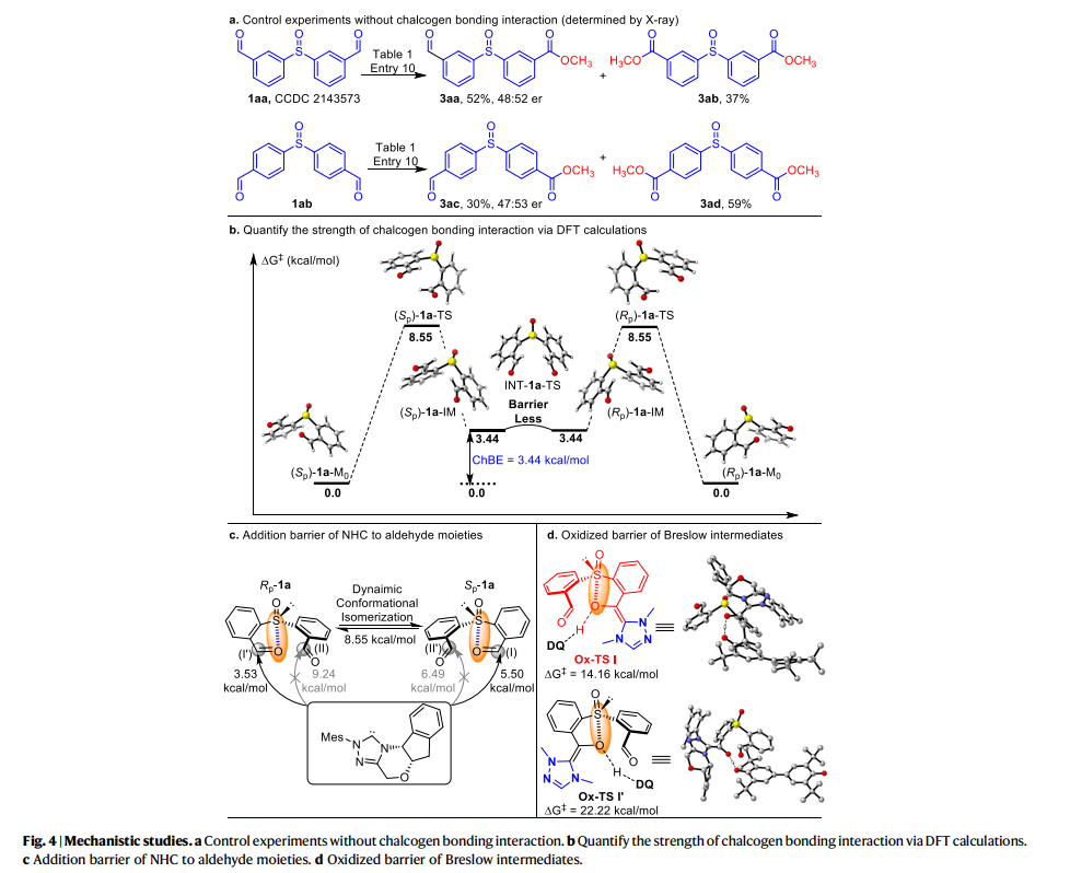 1661333914355601.png 圖片5.png