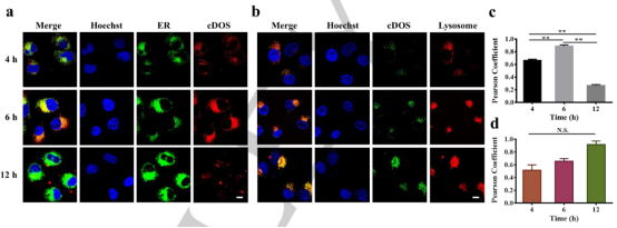 1662943457779465.png 9104.png