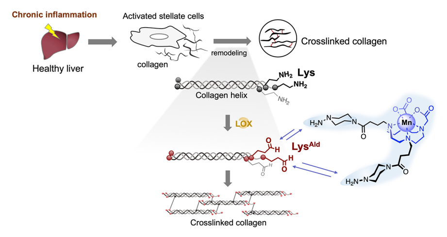 1662946645554397.png 94201.png