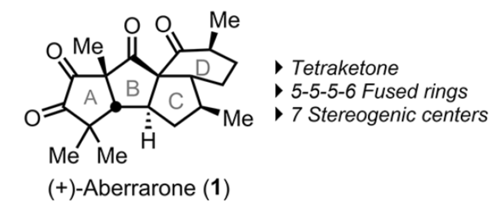 1662947082314216.png 9501.png