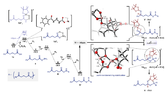 1662948548954271.png 9705.png