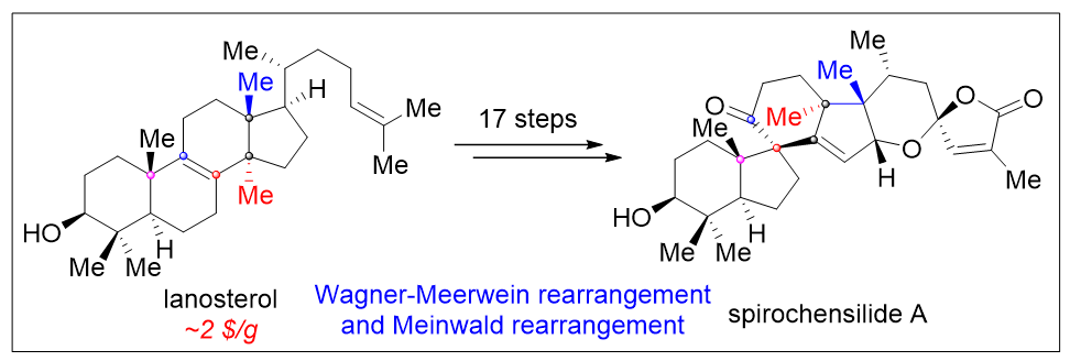 1662949129863878.png 9801.png