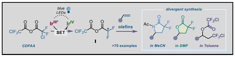 1662949546702395.png 9821.png