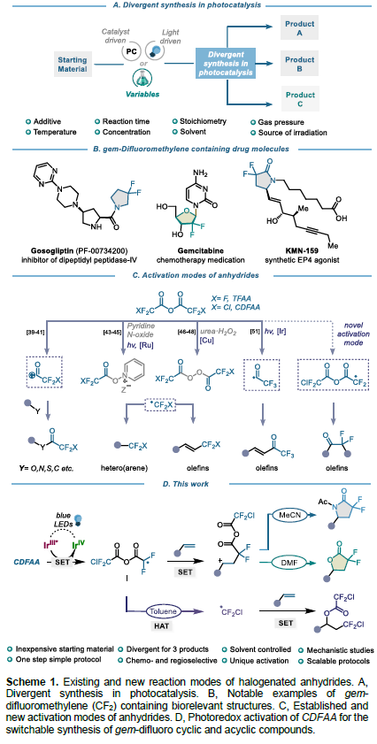 1662949557502866.png 9822.png