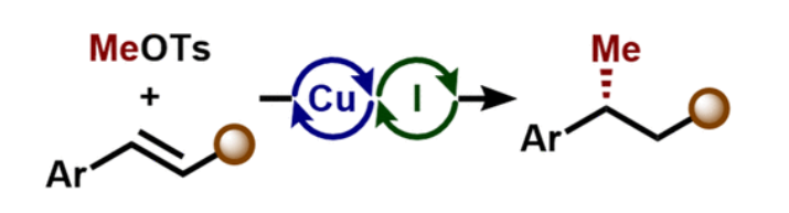 1662949936888761.png 9901.png