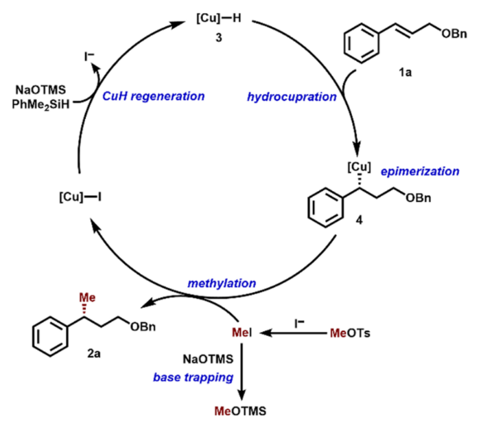 1662949987576086.png 9904.png