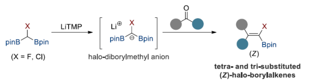 1662951276749042.png 91001.png