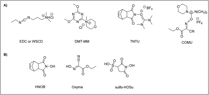 1662952375139036.png 001.png