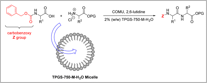 1662952453932001.png 006.png