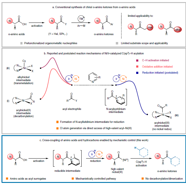 1662952925609148.png 1201.png