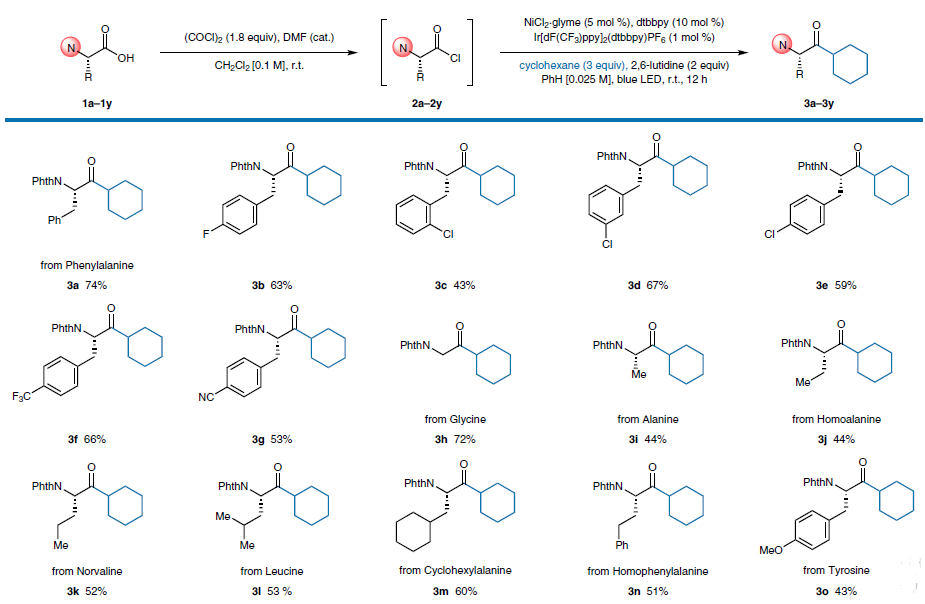 1662952967744699.png 12031.png