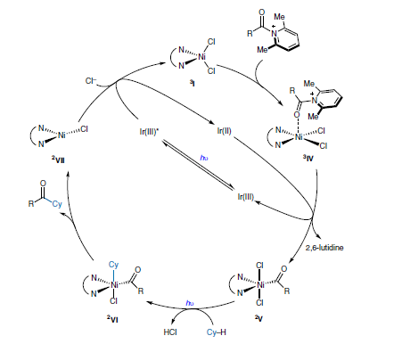 1662953029508444.png 1206.png