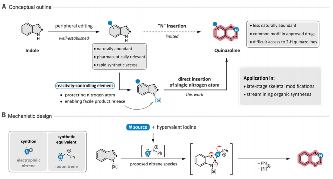 1663730779568378.png 9141.png