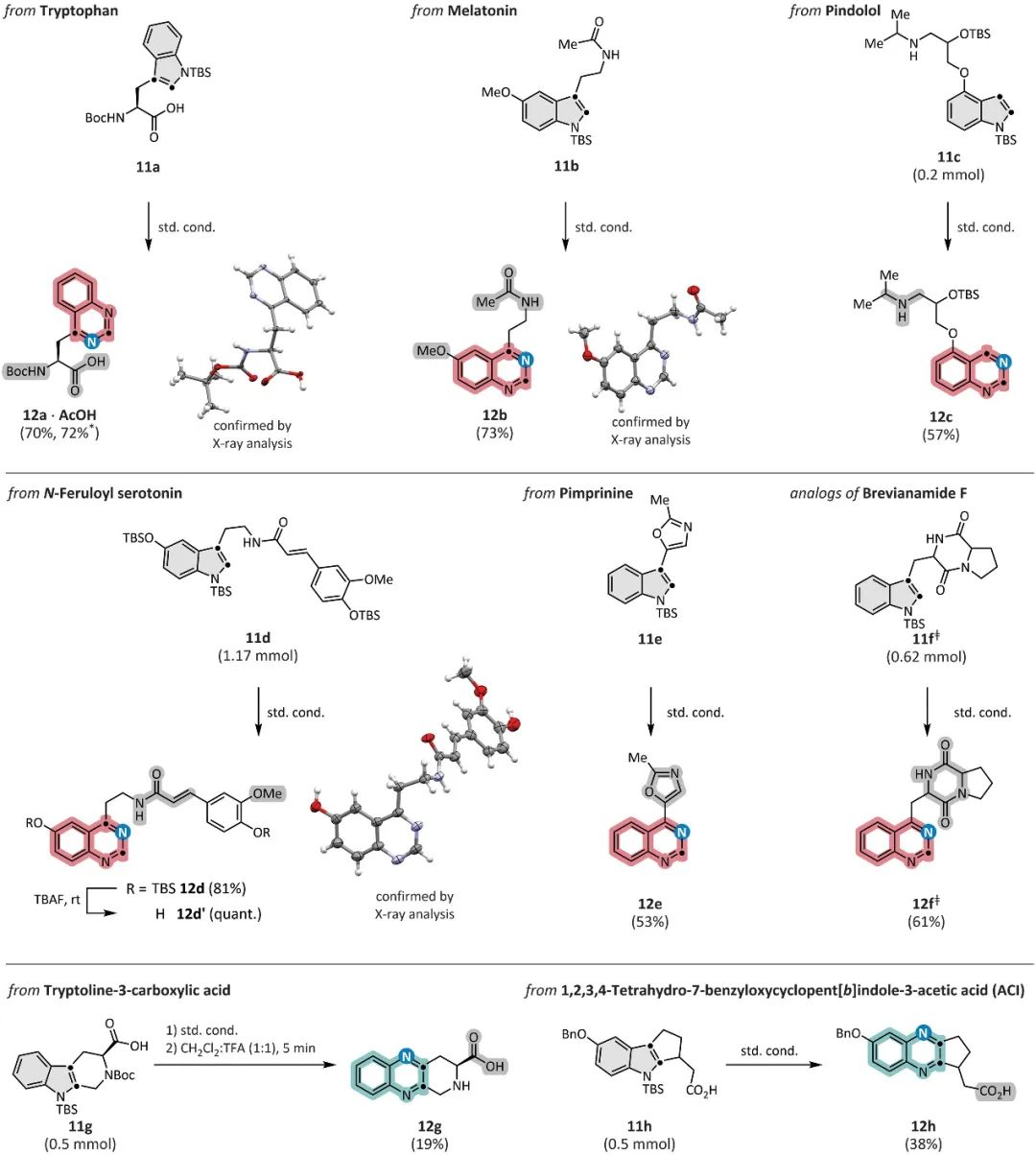 1663730807757412.png 9144.png