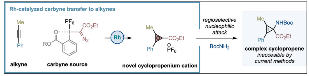 1663740506230039.png 9181.png