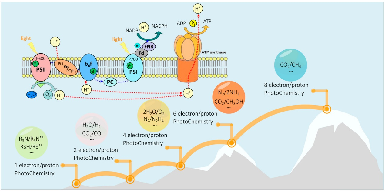 1664331716837998.png 圖片1.png