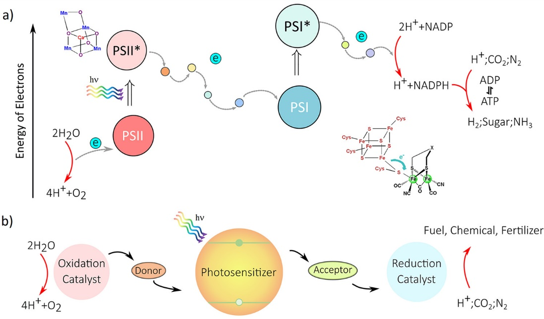 1664331725856797.png 圖片2.png