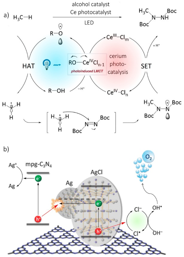 1664331759742682.png 圖片5.png