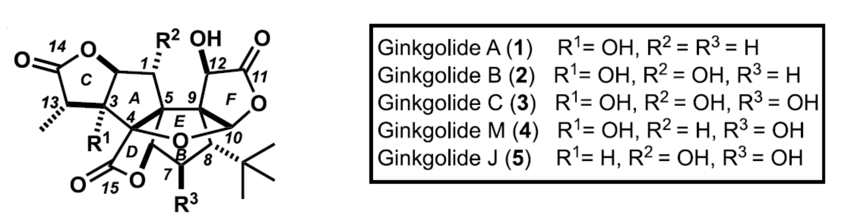 1664337200326156.png 圖片1.png