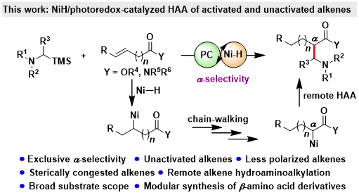 1664346779935792.png 圖片1.png