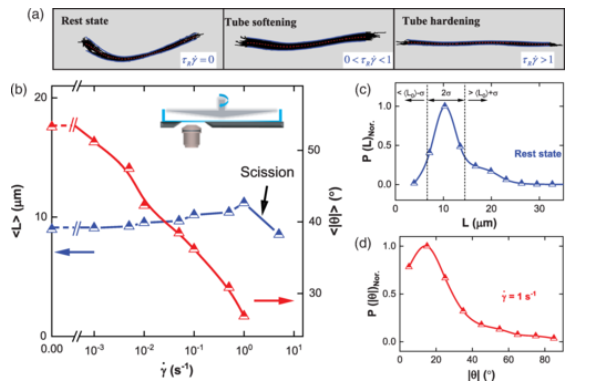 1665371973666601.png image.png