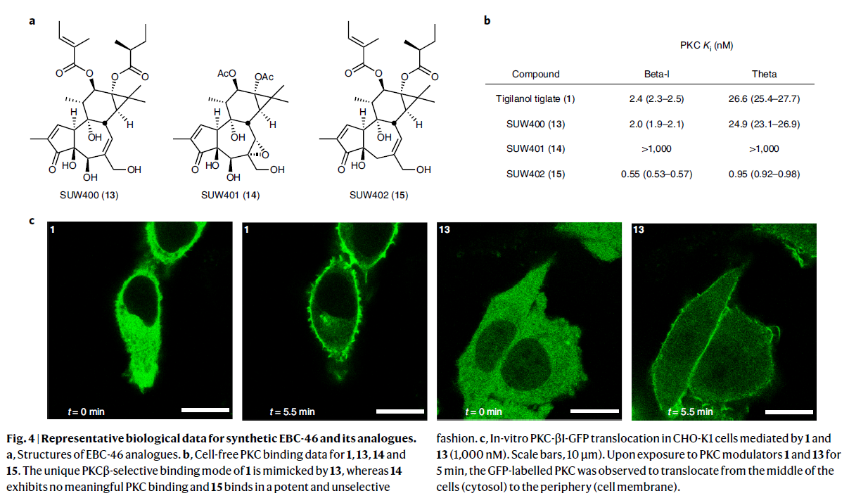 1665374305457382.png 圖片5.png