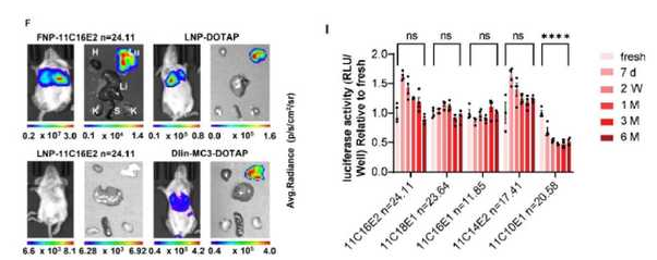 1665561240433666.png image.png